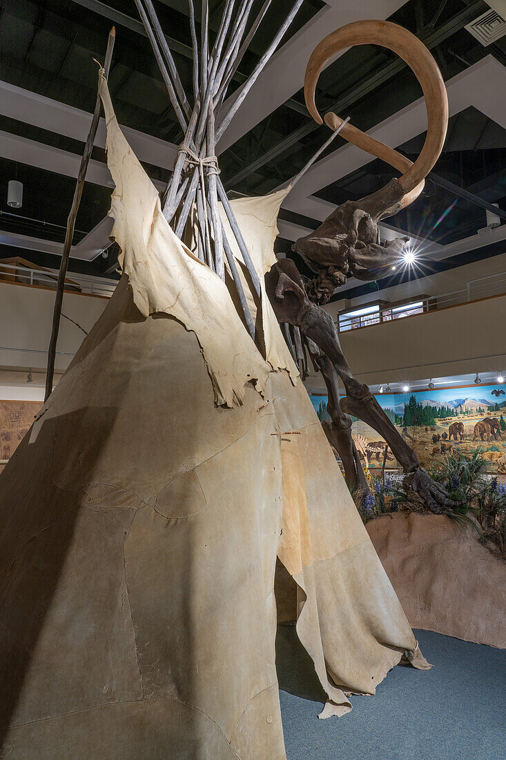 Ein aus Tierhäuten gefertigtes Indianer-Tipi im USU Eastern Prehistoric Museum in Price, Utah. Dahinter befindet sich das Skelett eines Mammuts