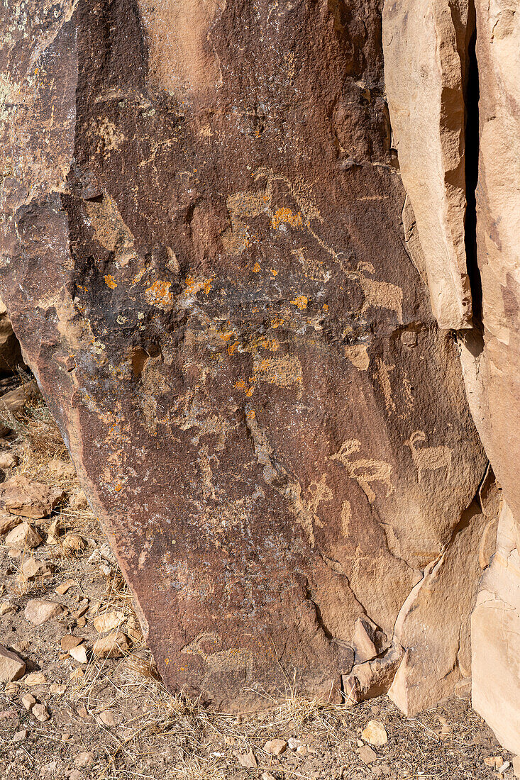 Stilisierte Dickhornschafe und anthropomorphe Figuren auf einer prähispanischen indianischen Felskunsttafel im Nine Mile Canyon in Utah