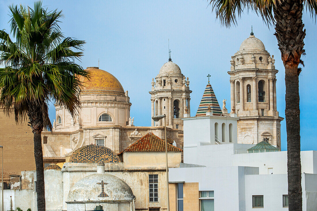 Panoramablick auf die Dächer der Altstadt und die Kathedrale de la Santa Cruz in Cadiz, Andalusien, Spanien