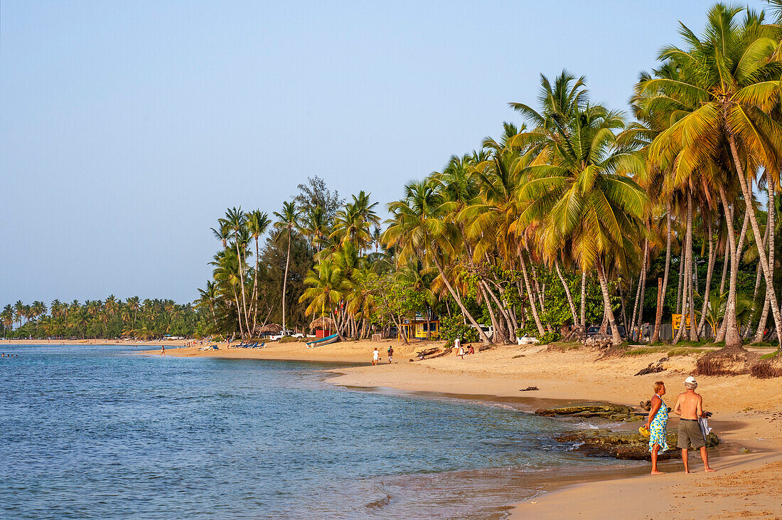Las Terrenas Strand, Samana, Dominikanische Republik, Karibik, Amerika. Tropischer Karibikstrand mit Kokosnusspalmen