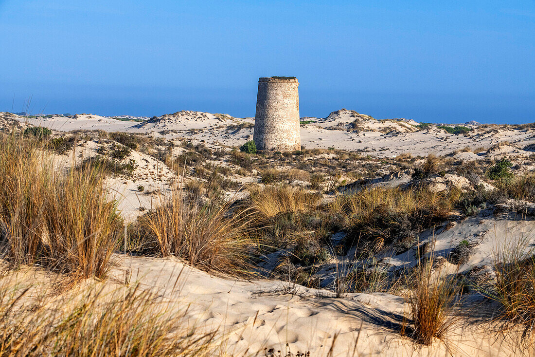 Torre Carbonero tower in Parque Nacional de Doñana National Park, Almonte, Huelva province, Region of Andalusia, Spain, Europe.