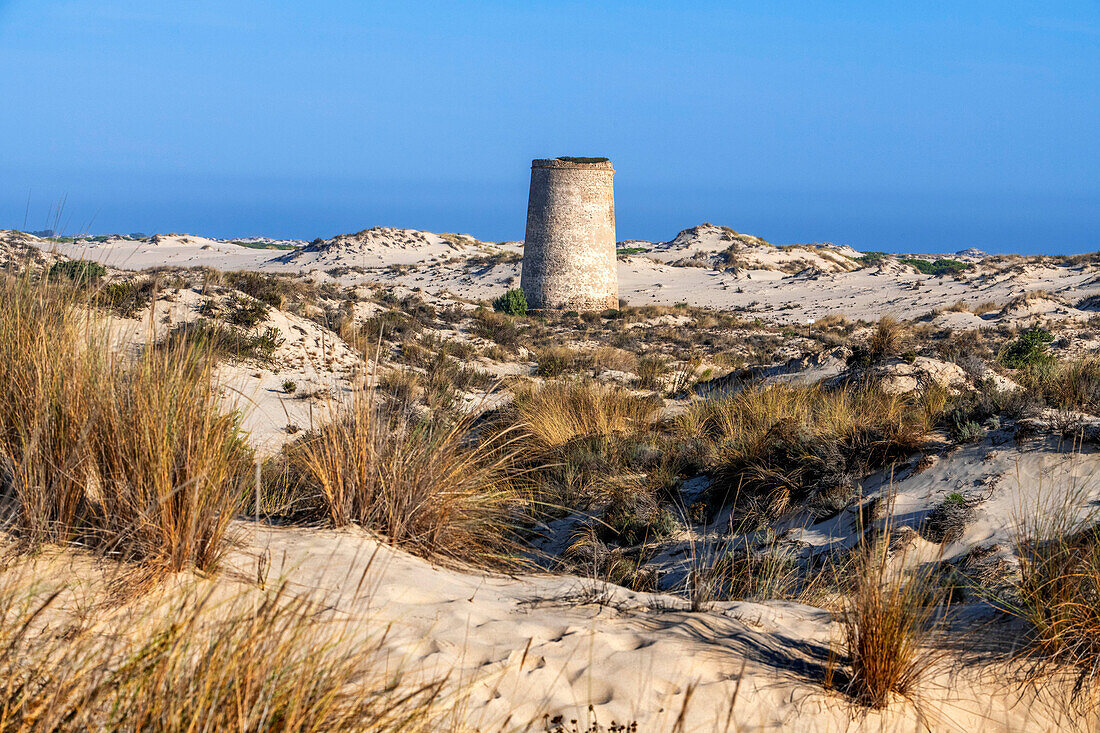 Turm Torre Carbonero im Nationalpark Parque Nacional de Doñana, Almonte, Provinz Huelva, Region Andalusien, Spanien, Europa