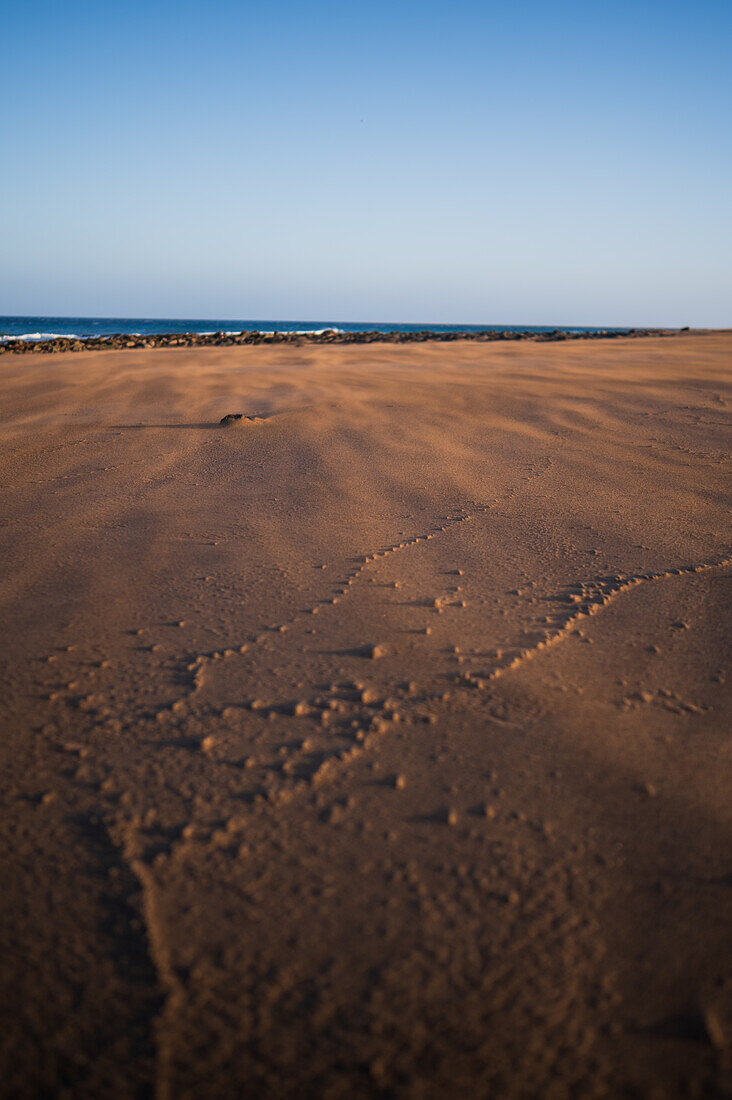 Wind blows sand on a beach in Lanzarote, Canary Islands, Spain