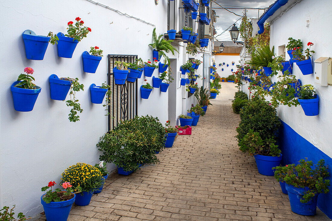 Barrio del Huerto francés in Cañete de las torres in Cordoba province, Andalusia, southern Spain.