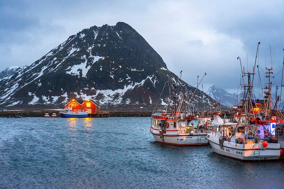 Fischerboote an einem Steg in Reine, Moskenes, Insel Moskenesøya, Lofoten, Norwegen