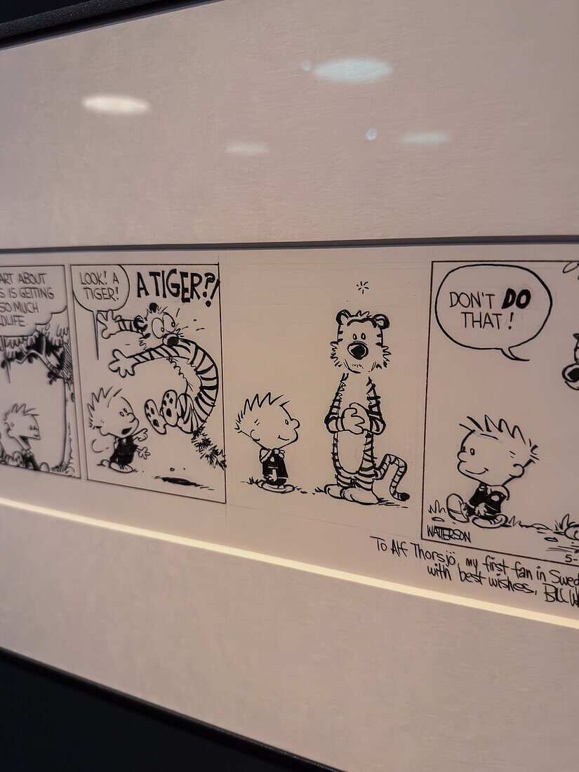 Calvin und Hobbes von Bill Waterson