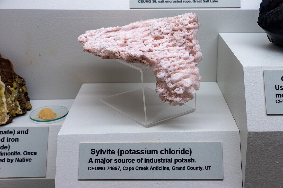 Sylvit, Kaliumchlorid, in der Mineraliensammlung des USU Eastern Prehistoric Museum, Price, Utah