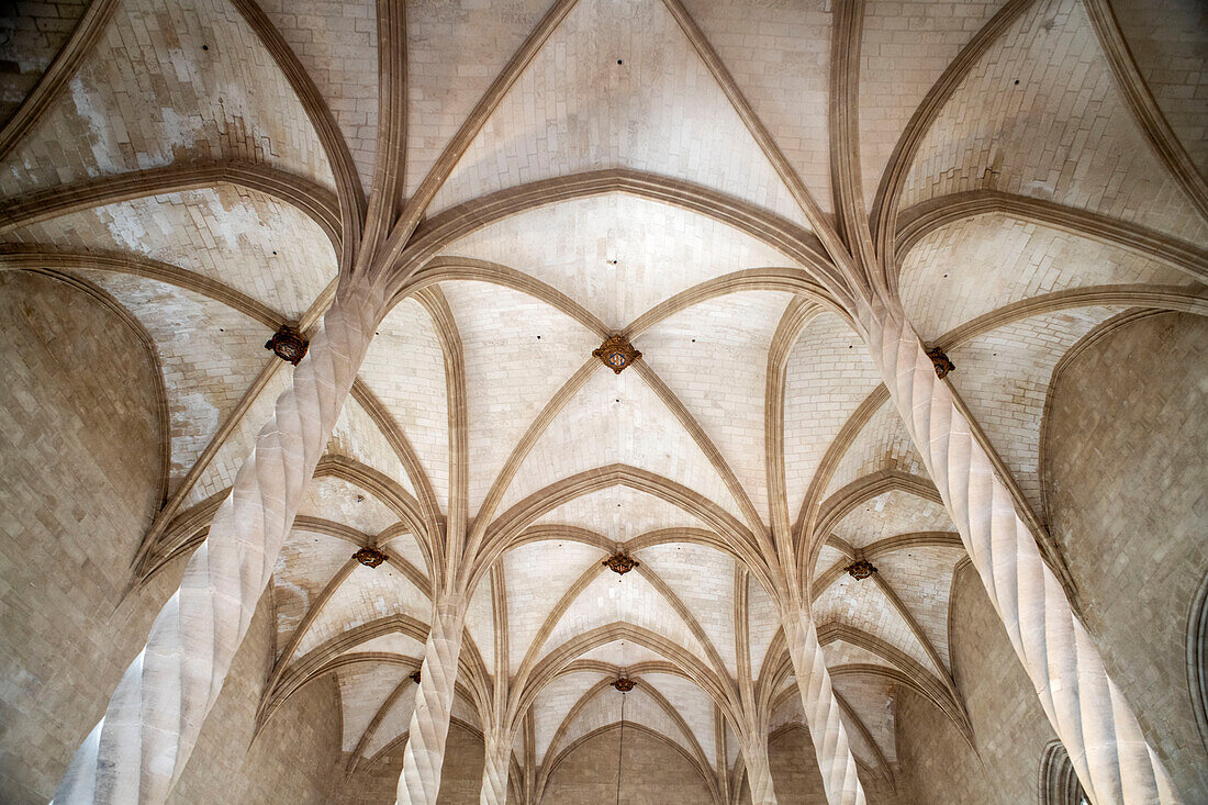Inside Palma de Mallorca Lonja. Majorca gothic architecture. Main facade of the market of the gothic civil. Balearic islands Spain.