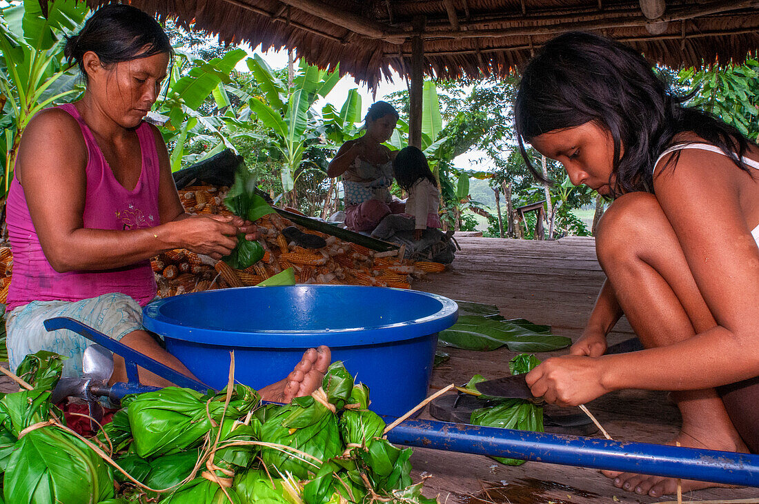 Frau bei der Zubereitung von Juanes hausgemachten Mais- und Hühnertamales nach traditioneller Methode in Timicuro I, Iqutios peruanischer Amazonas, Loreto, Peru