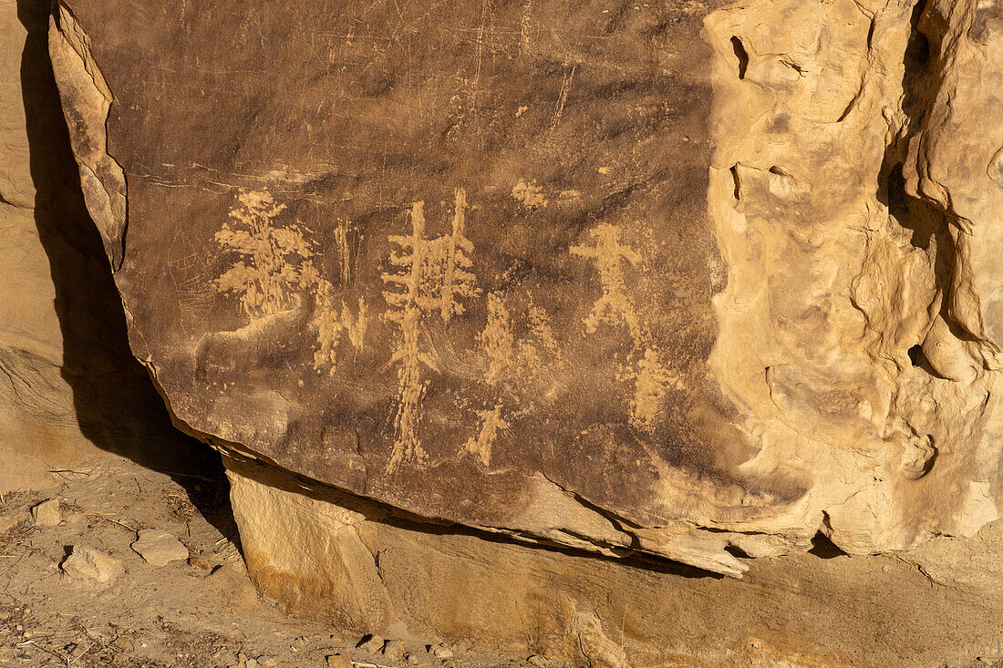 Native American petroglyph panel at the East Four Mile Canyon Interpretive Site, Canyon Pintado National Historic District in Colorado. Pre-Hispanic Native American rock art.