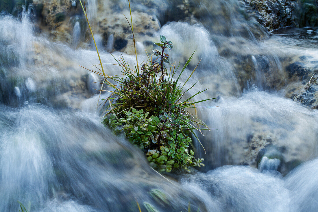 Cascade Springs on Mt. Timpanogos in the Uinta National Forest in Utah.