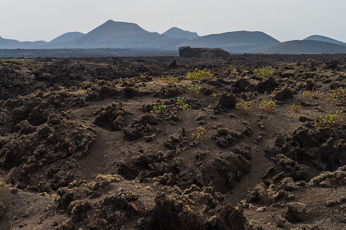 Volcan del Cuervo (Krähenvulkan), ein Krater, der über einen Rundweg in einer kargen, felsigen Landschaft erkundet wird