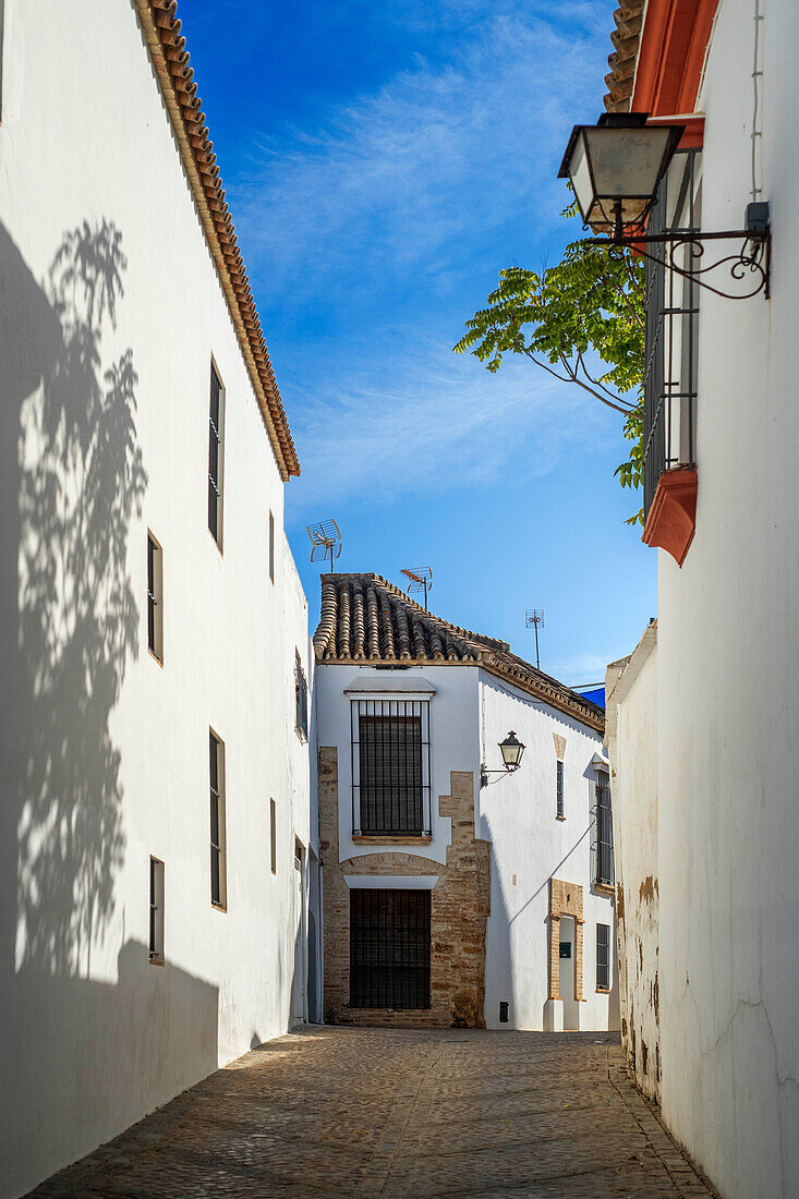 Weiße Häuser in der Altstadt von Carmona Sevilla Andalusien Südspanien