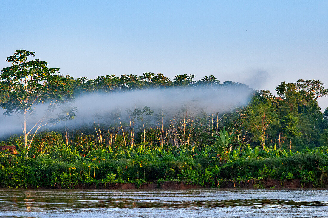 Strahlen, die durch den Rauch im Amazonas-Regenwald bei Iquitos, Peru, dringen