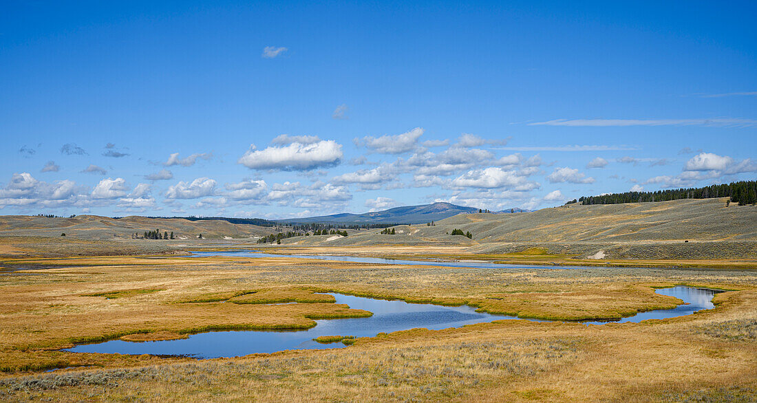 Hayden Valley, Yellowstone-Nationalpark, Wyoming