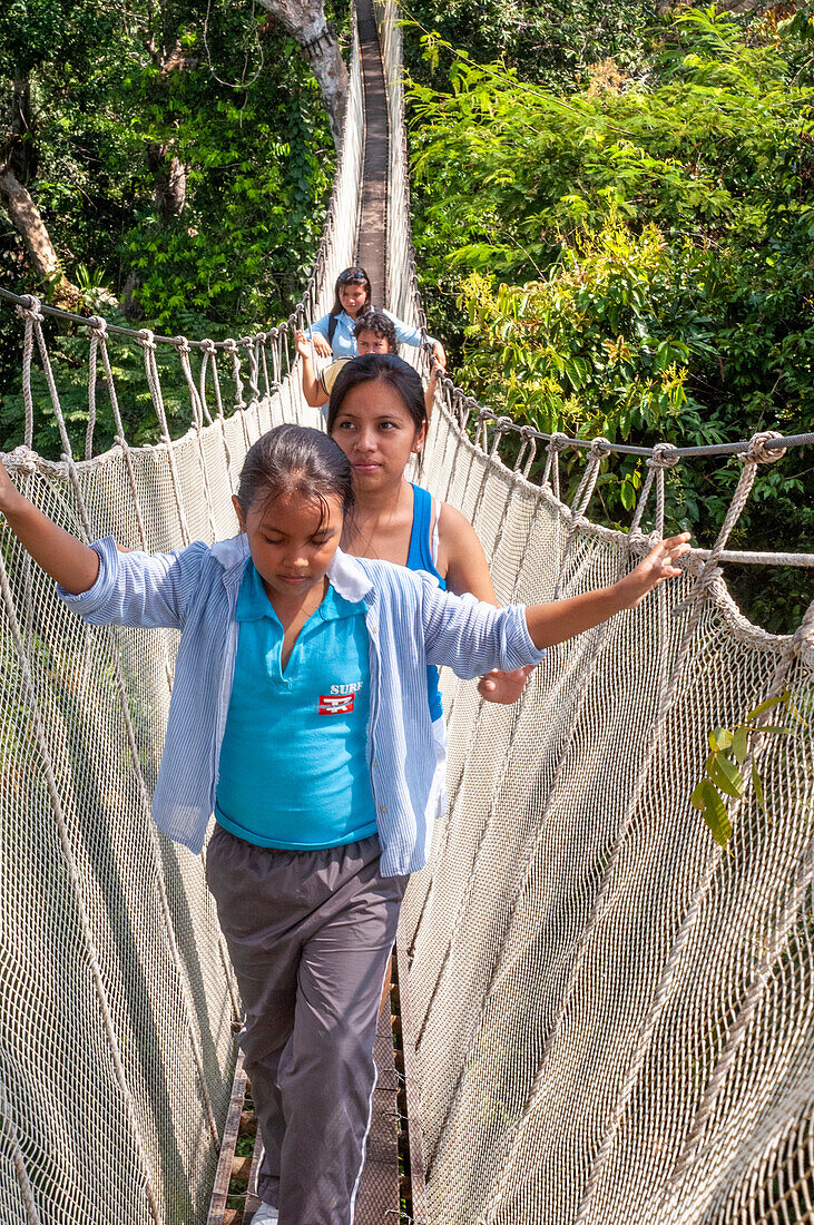 Erhöhte Hängebrücken des Canopy Walk. Ein Regenwald-Hängebrückenpfad im Tambopata-Nationalpark im Reservat Inkaterra amazonica. Besucher haben einen Blick aus der Vogelperspektive vom Amazonas-Dschungel Laufsteg am Fluss Napo Camp Explorama Tours in Peru. Iquitos, Loreto, Peru. Der Amazon Canopy Walkway, eine der längsten Hängebrücken der Welt, die es ermöglicht, die Tiere des Primärwaldes aus einer Höhe von 37 Metern zu sehen, und die über den 14 höchsten Bäumen des Gebietes aufgehängt ist