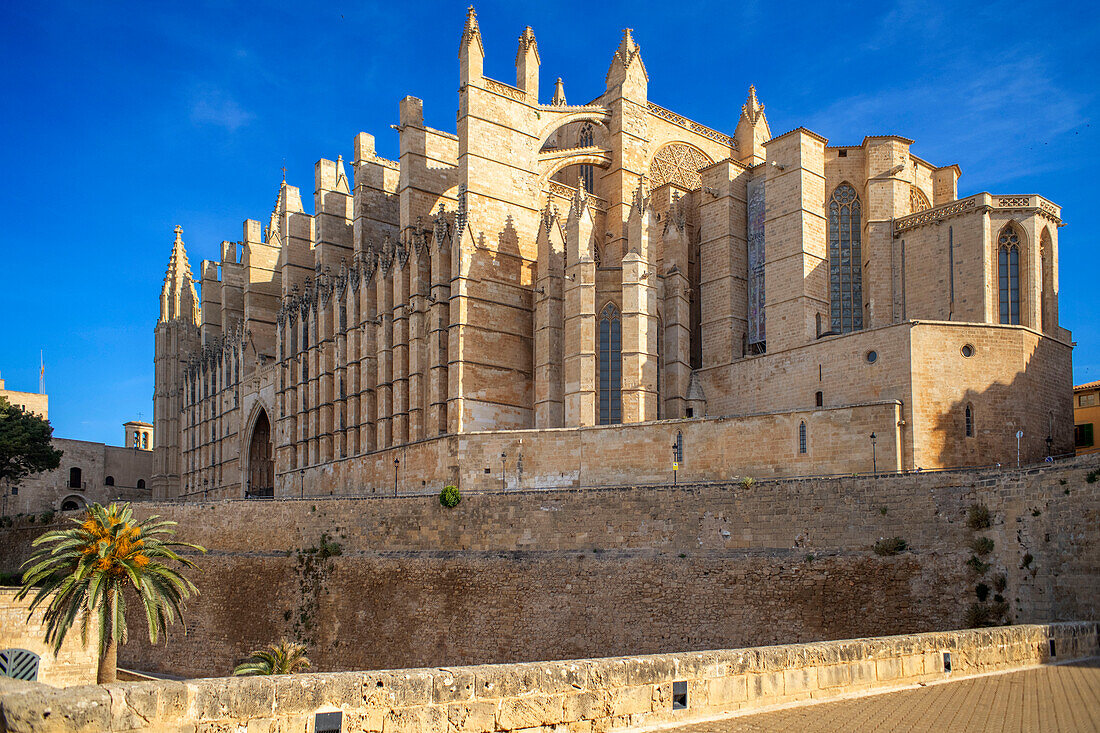 Cathedral of Santa Maria Palma Majorca in the Old Town of Palma de Majjorca, Balearic Islands, Spain