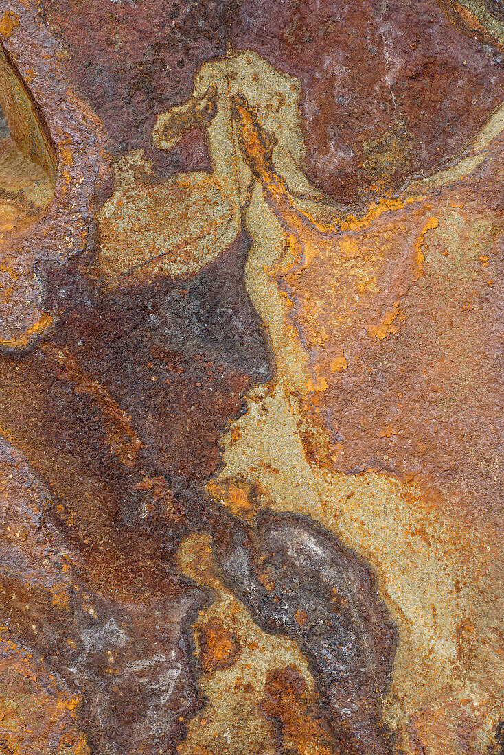 Rock art on basalt lava cliff along John Day River at Cottonwood Canyon State Park, north central Oregon.