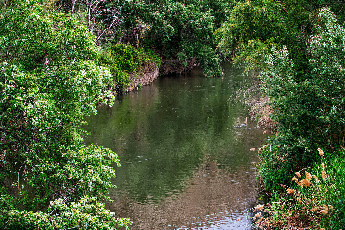 Jarama river, Laguna del Campillo, Puente Verde, in Rivas-Vaciamadrid. El Tren de Arganda train or Tren de la Poveda train in Arganda del Rey, Madrid, Spain.