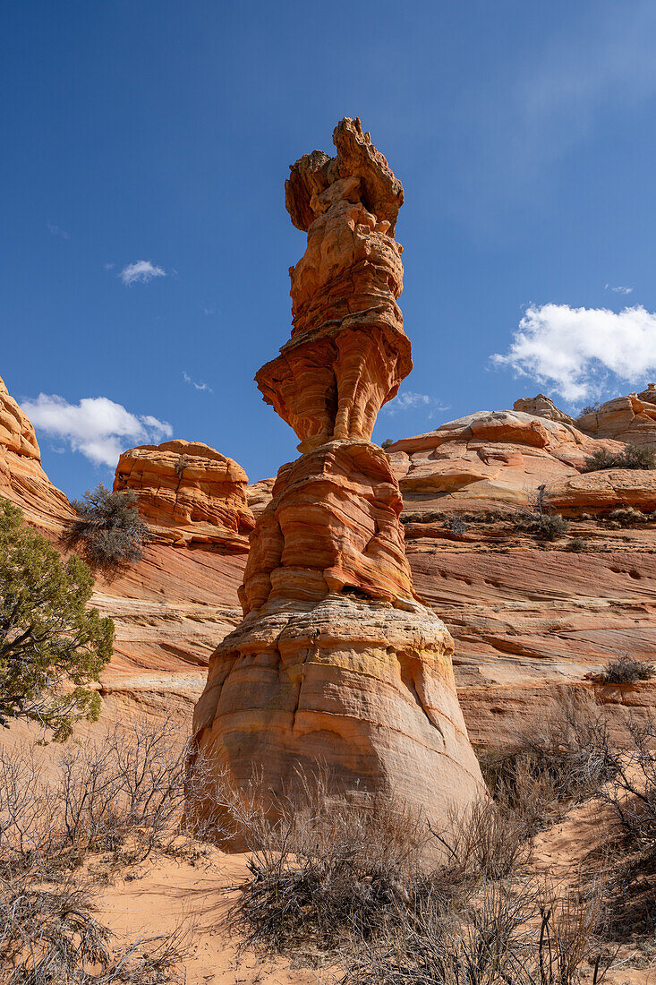 Die Schachkönigin oder der Totempfahl ist ein erodierter Sandsteinturm in der Nähe der South Coyote Buttes, Vermilion Cliffs National Monument, Arizona