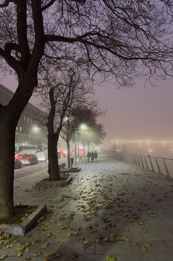 Nebliges Stadtbild im Winter bei sinkenden Temperaturen in Zaragoza, Spanien