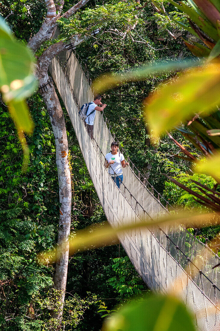 Erhöhte Hängebrücken. Ein Regenwald-Baumkronenpfad im Tambopata-Nationalpark im Reservat Inkaterra amazonica. Besucher haben einen Blick aus der Vogelperspektive vom Amazonas-Dschungel Baldachin Walkway am Fluss Napo Camp Explorama Touren in Peru. Iquitos, Loreto, Peru. Der Amazon Canopy Walkway, eine der längsten Hängebrücken der Welt, die es ermöglicht, die Tiere des Primärwaldes aus einer Höhe von 37 Metern zu beobachten und über die 14 höchsten Bäume der Region zu schweben