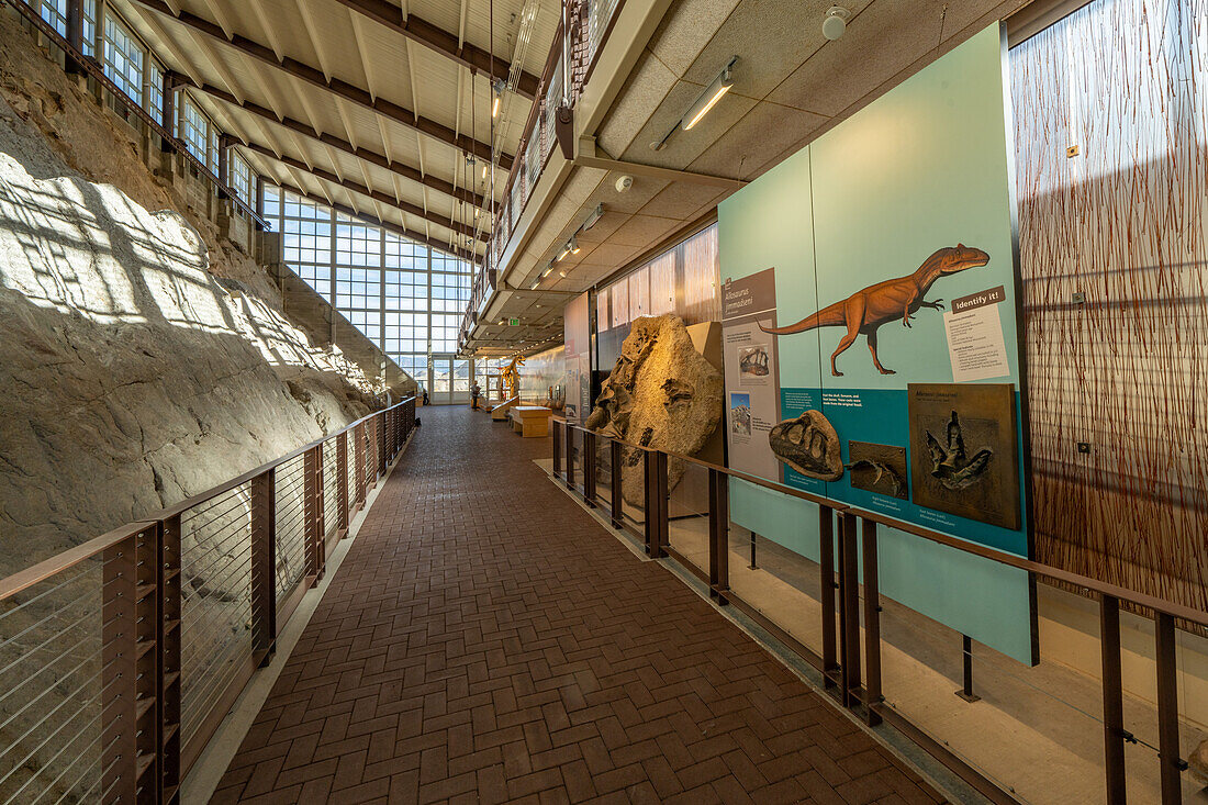 Fossile Ausstellungsstücke und die Wall of Bones in der Quarry Exhibit Hall im Dinosaur National Monument. Jensen, Utah