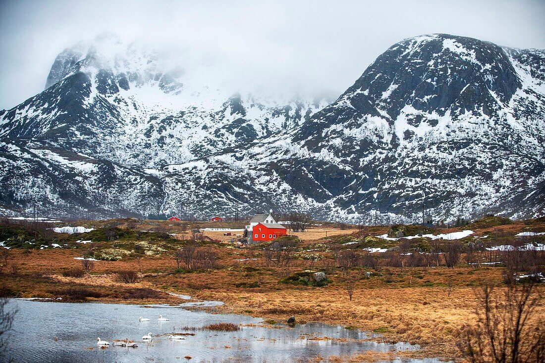 Skagsanden, a beach near Flakstad, Flakstadøy, Lofoten, Nordland, Norway