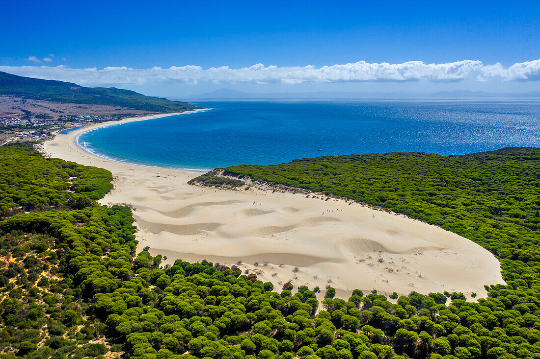 Aerial view of Duna de Bolonia dune beach, Costa de la Luz, Cadiz Province, Andalusia, southern Spain.