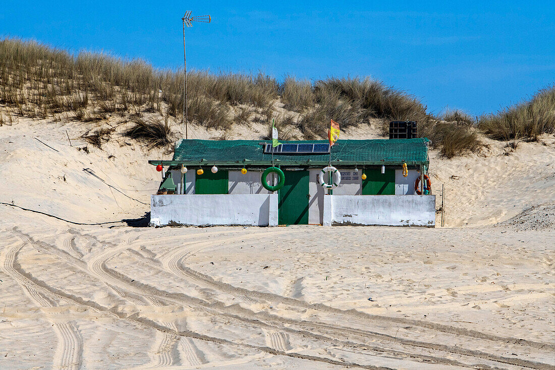 Typical fishermen's huts in Parque Nacional de Doñana National Park, Almonte, Huelva province, Region of Andalusia, Spain, Europe