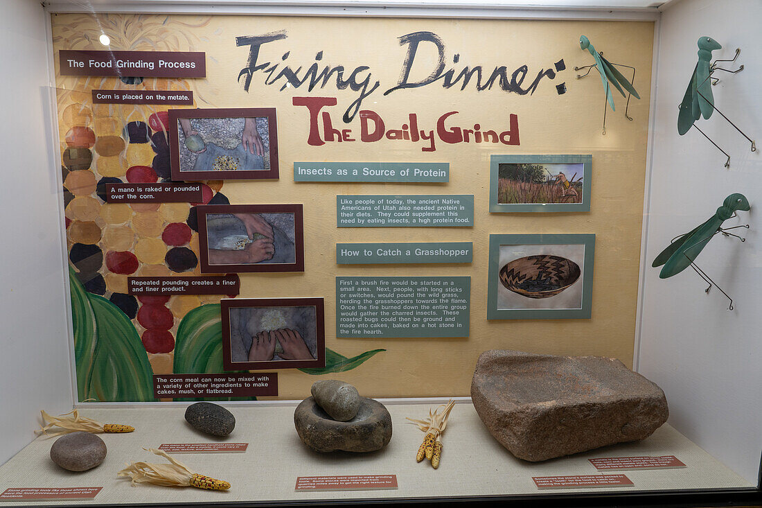 A display of food sources for pre-HIspanic Native Americans in the USU Eastern Prehistoric Museum in Price, Utah.