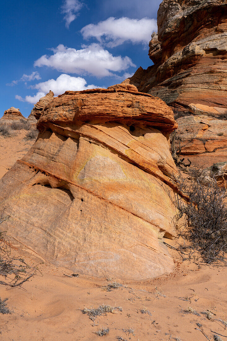 Eroded Navajo sandstone rock formations near South Coyote Buttes, Vermilion Cliffs National Monument, Arizona.