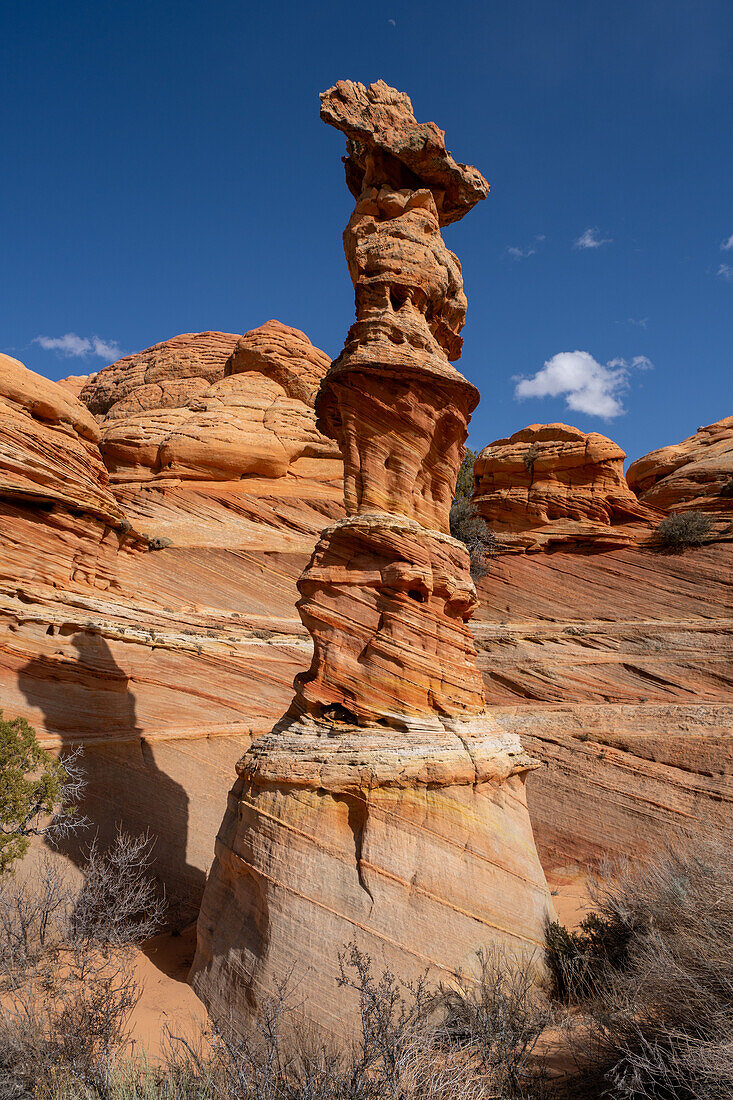 Der Mond über der Chess Queen, einem erodierten Sandsteinturm in der Nähe der South Coyote Buttes, Vermilion Cliffs National Monument, Arizona