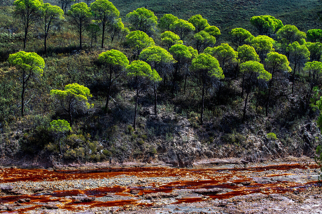 Blutrotes, mineralhaltiges Wasser des Flusses Rio Tinto im Bergbaugebiet Minas de Riotinto. Der sehr rote Rio Tinto (Fluss Tinto), Teil des Rio Tinto Minenparks (Minas de Riotinto), Provinz Huelva, Spanien