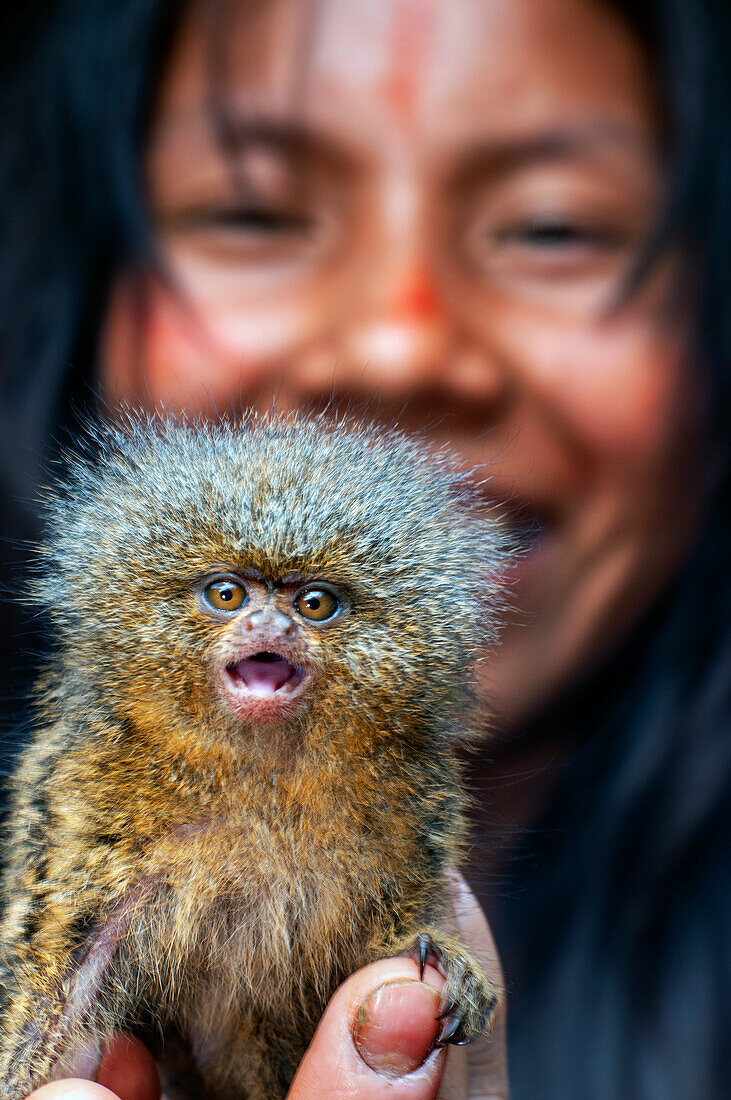 Kleines Zwergseidenäffchen Yagua-Indianer leben ein traditionelles Leben in der Nähe der amazonischen Stadt Iquitos, Peru