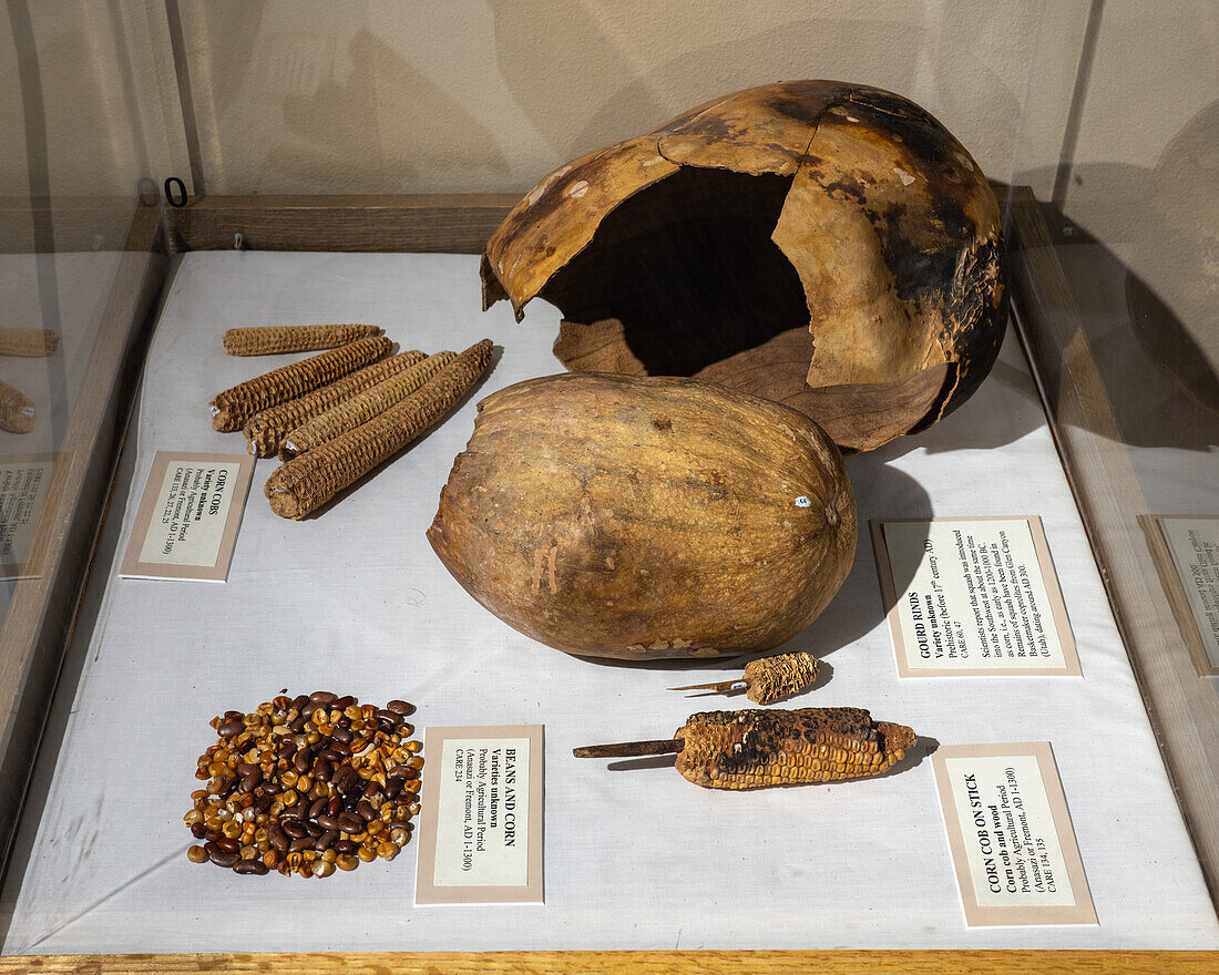 Ausstellung prähispanischer Lebensmittelartefakte, darunter Kürbis und Mais, im USU Eastern Prehistoric Museum in Price, Utah