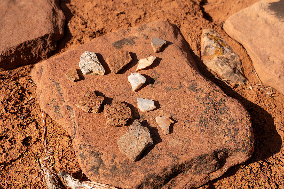 Flint & pottery herds of pre-Hispanic Native Americans. West Bench Pueblo site, Vermilion Cliffs National Monument, Arizona.