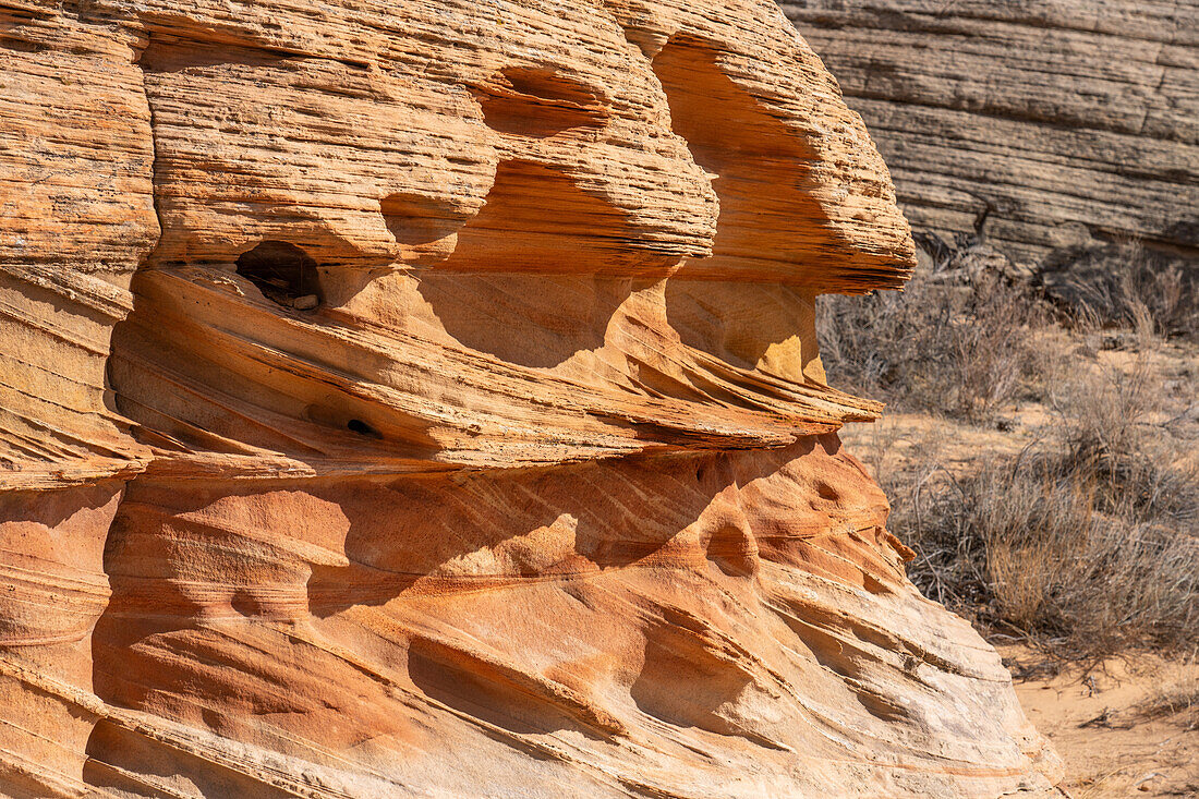 Erosionsdetail im Navajo-Sandstein bei South Coyote Buttes, Vermilion Cliffs National Monument, Arizona