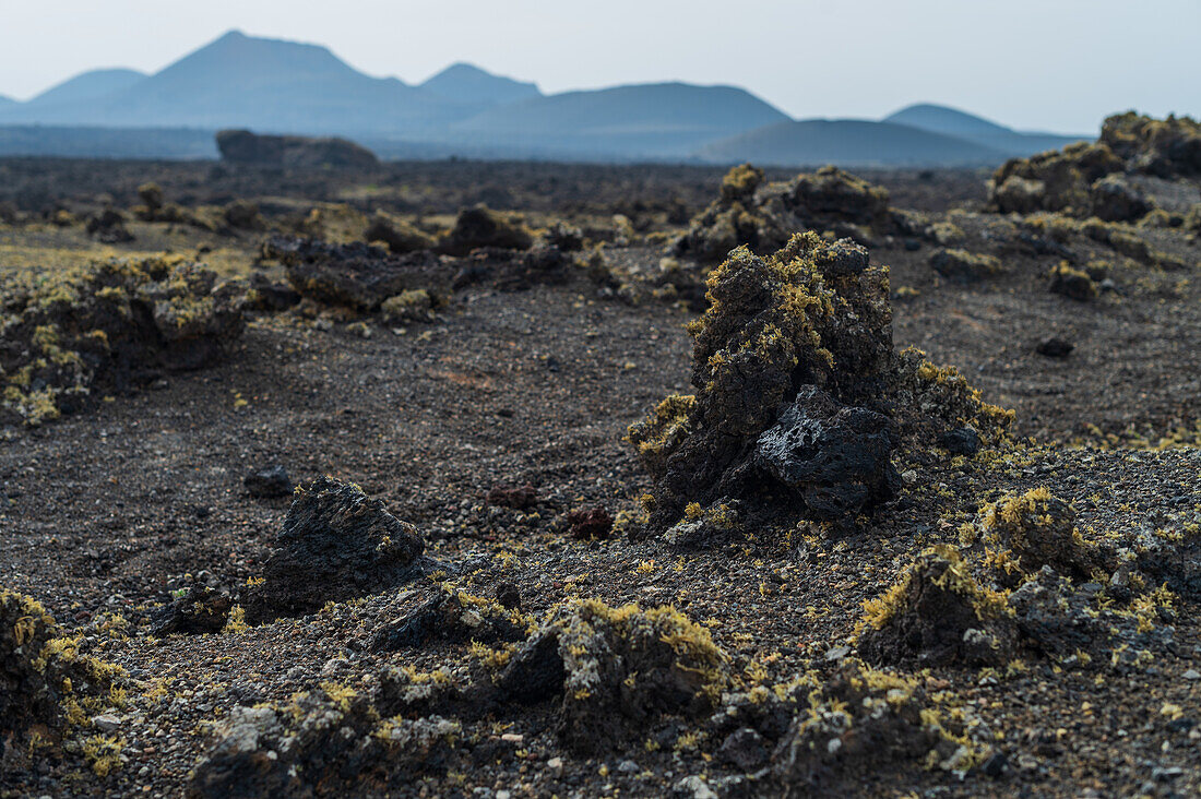 Volcan del Cuervo (Krähenvulkan), ein Krater, der über einen Rundweg in einer kargen, felsigen Landschaft erkundet wird