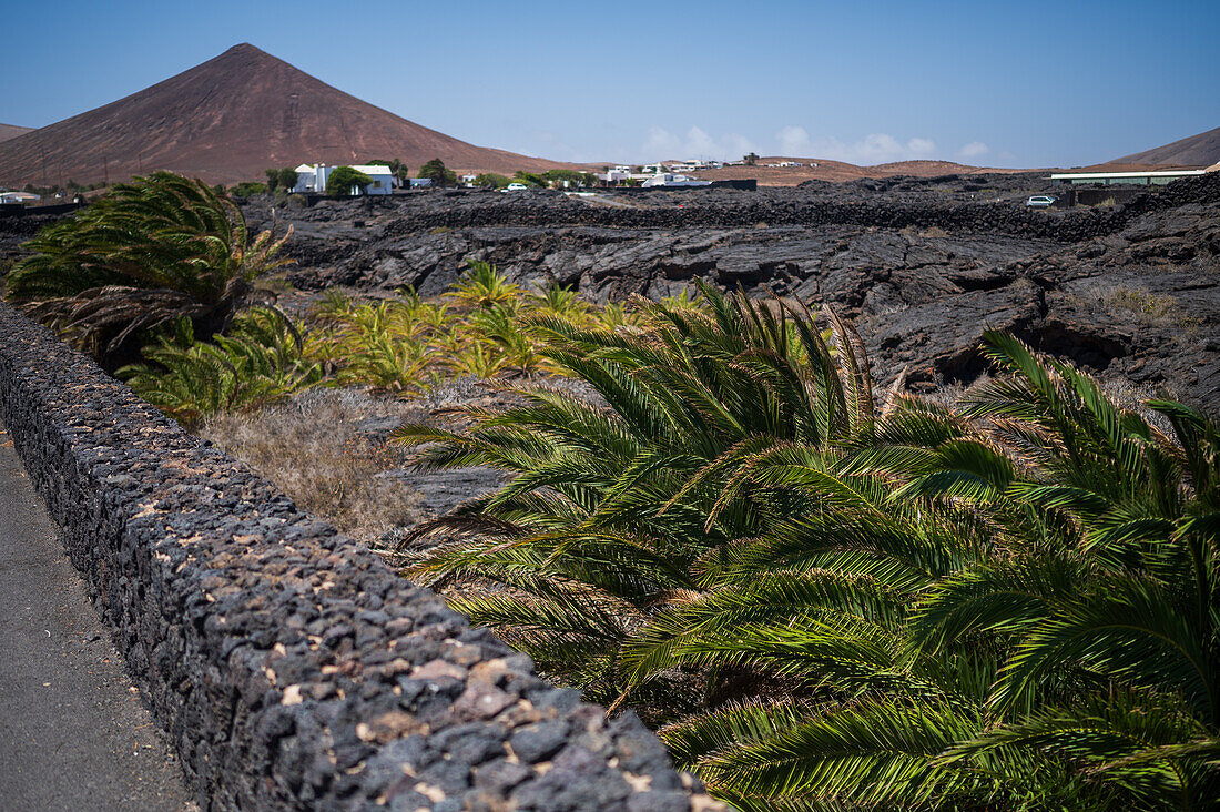 Lanzarote, Canary Islands, Spain