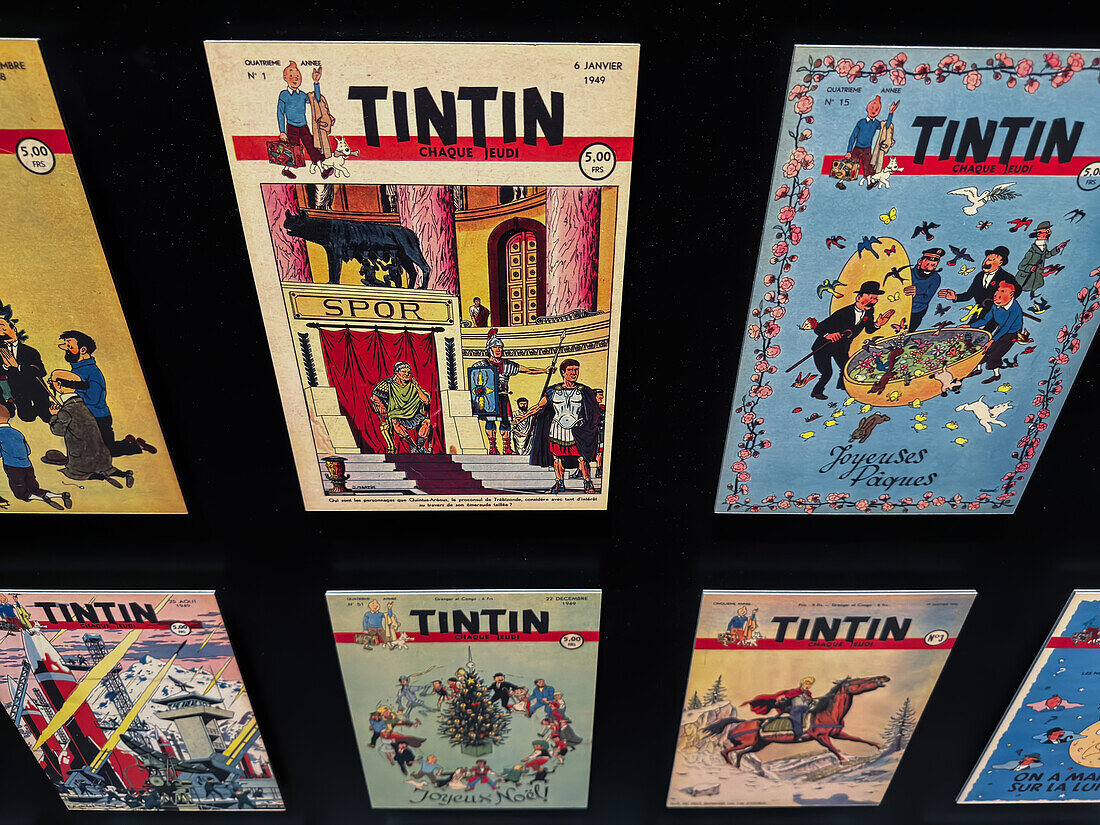 Verschiedene Einbände der Abenteuer von Tim und Struppi-Comics von Herge