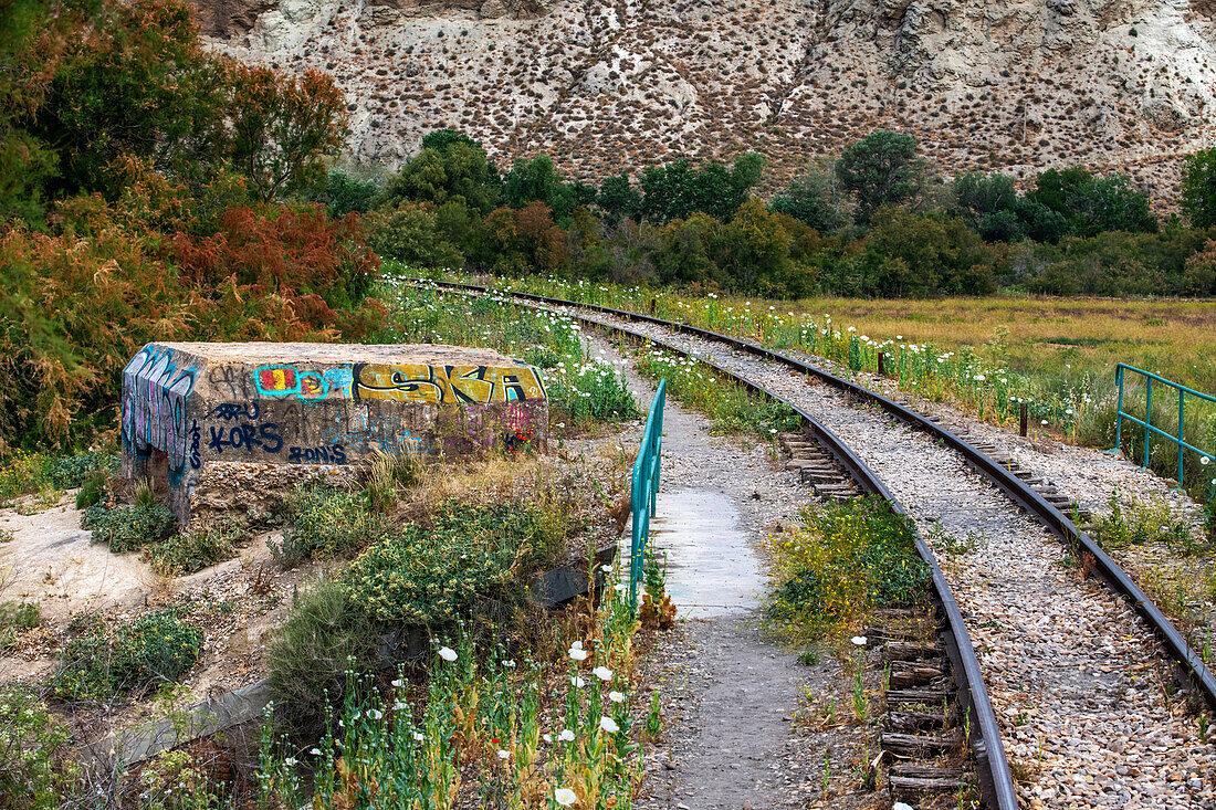 Laguna del Campillo, Rivas Vaciamadrid, El Tren de Arganda Zug oder Tren de la Poveda Zug in Arganda del Rey, Madrid, Spanien