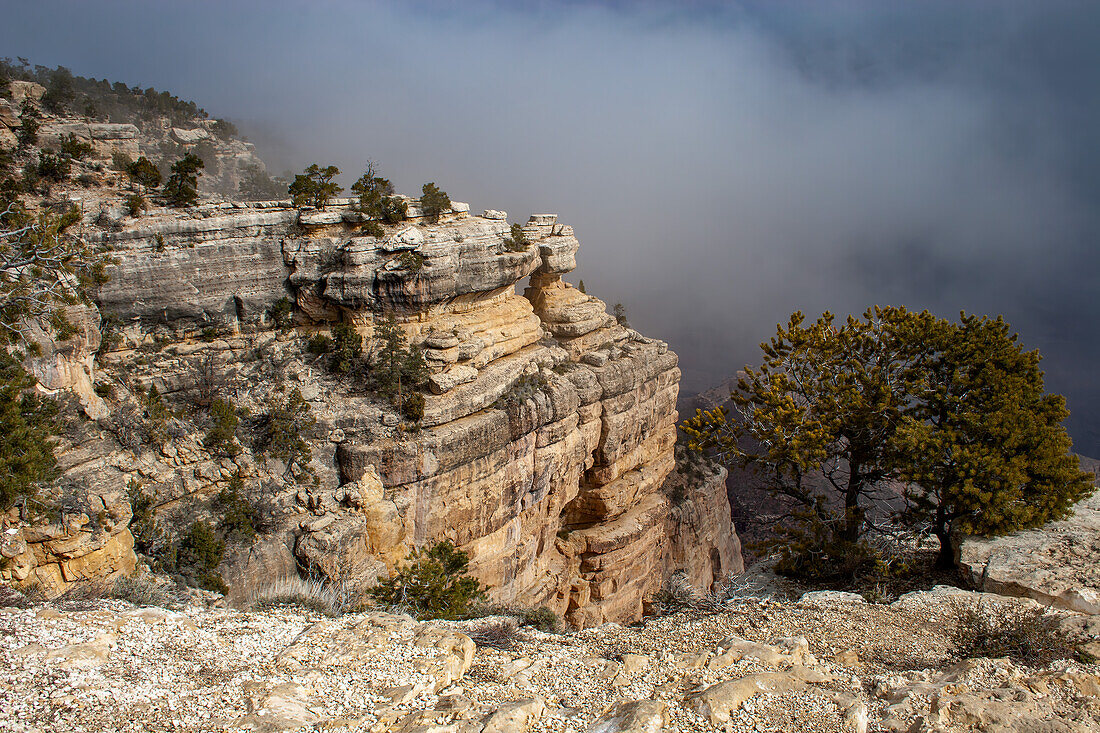 Schneegestöber über dem Canyon im Grand Canyon National Park, Arizona