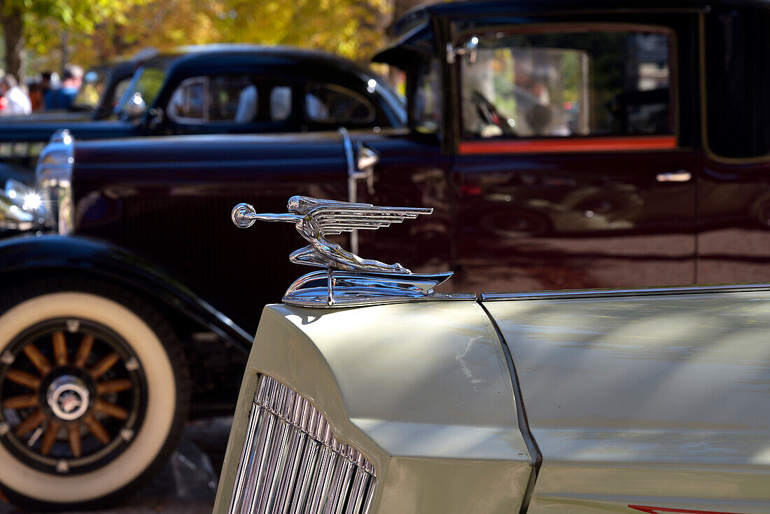 Detail of a Packard classic car in a car festival in San Lorenzo de El Escorial, Madrid.