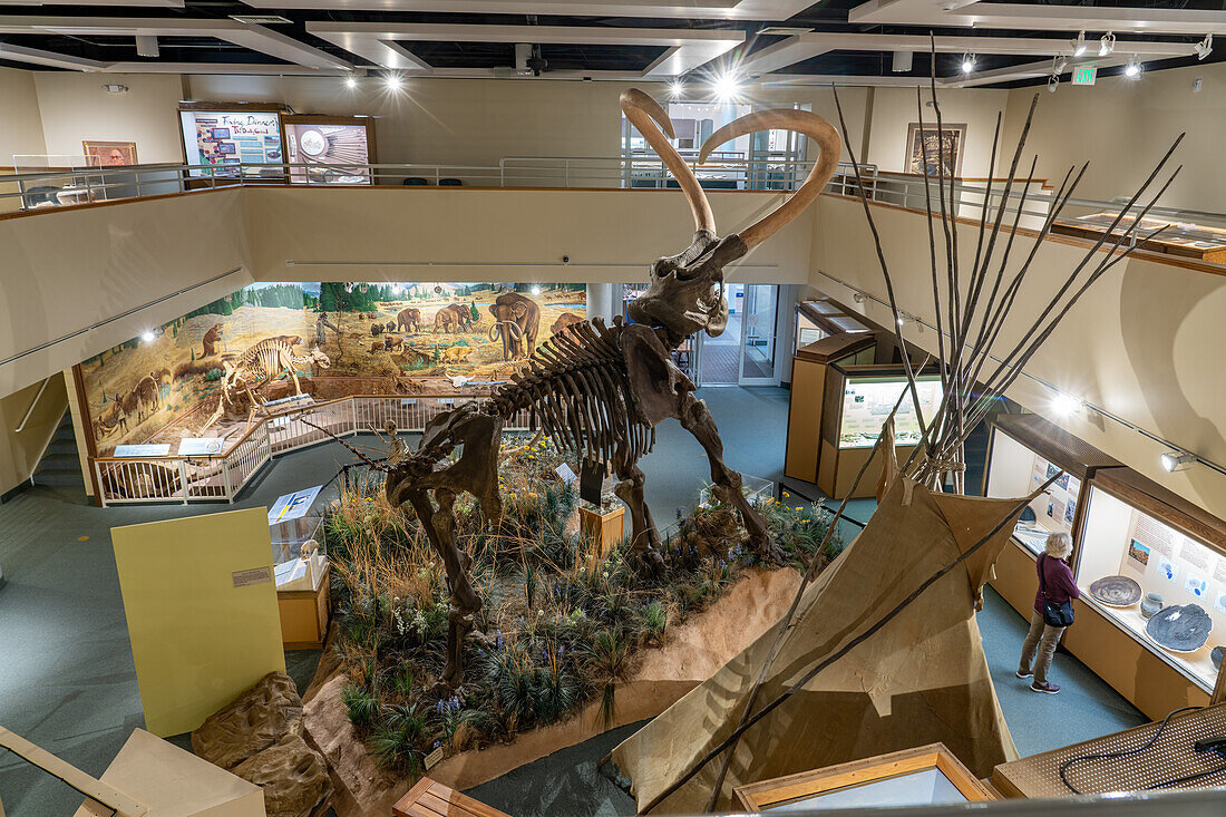 Diorama eines kolumbianischen Mammuts, das von einem Mann mit einem Atlatl gejagt wird. USU Östliches Prähistorisches Museum, Price, Utah