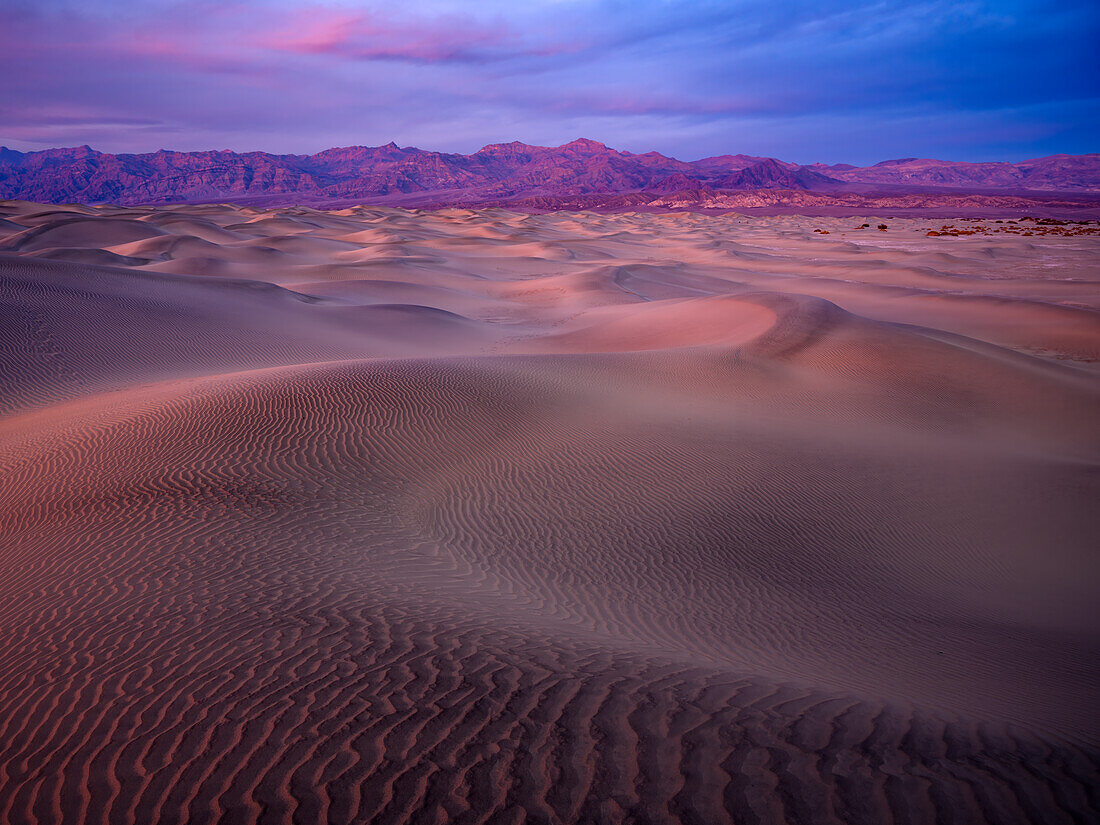 Mesquite-Dünen in der Abenddämmerung, Death Valley National Park, Kalifornien