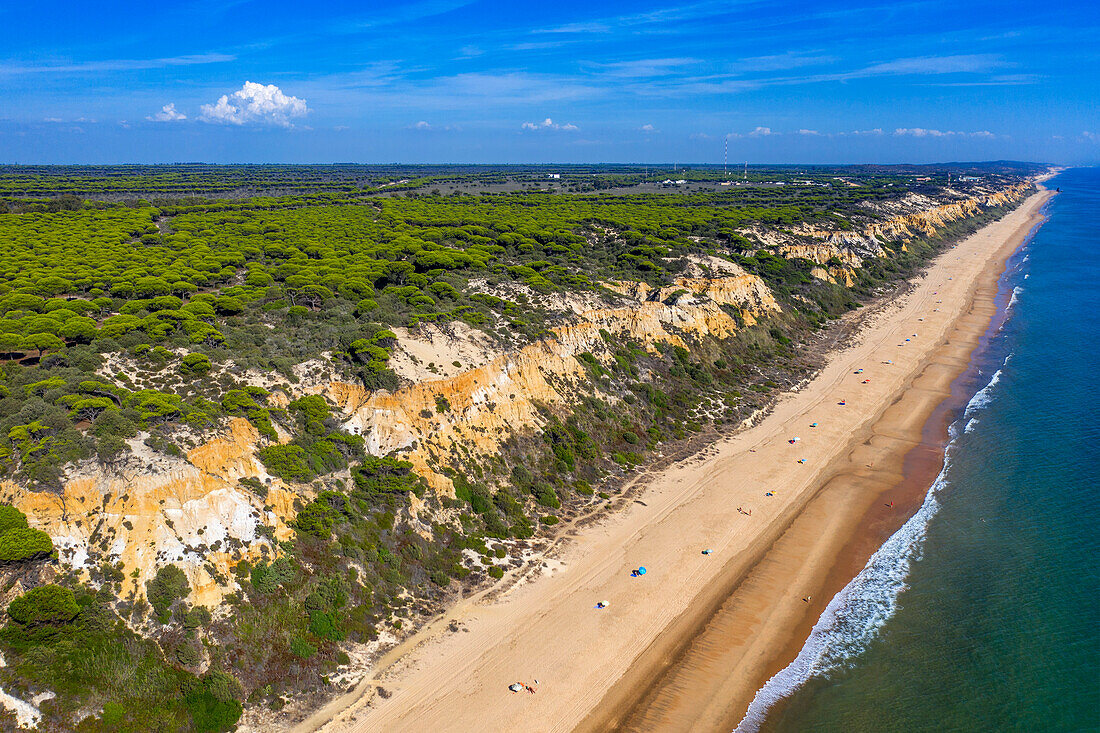 Aerial view of Fontanilla beach Sandy and cliffs, Mazagon, Costa de la Luz, Huelva Province, Andalucia, Spain, Europe