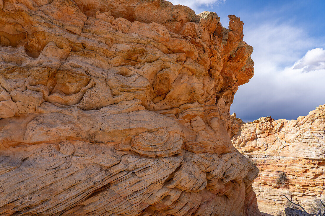 Aufwändig erodierter Navajo-Sandstein bei South Coyote Buttes, Vermilion Cliffs National Monument, Arizona