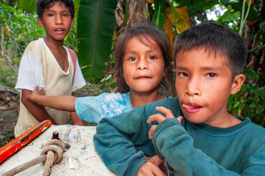 Local people in Purus river in Amazon on sunny summer day with trees on river bank, near Iquitos, Loreto, Peru. Navigating one of the tributaries of the Amazon to Iquitos about 40 kilometers near the town of Indiana.