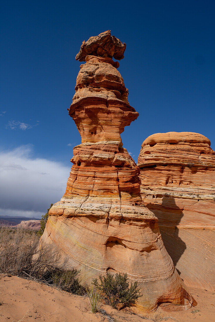 Die Schachkönigin oder der Totempfahl ist ein erodierter Sandsteinturm in der Nähe der South Coyote Buttes, Vermilion Cliffs National Monument, Arizona